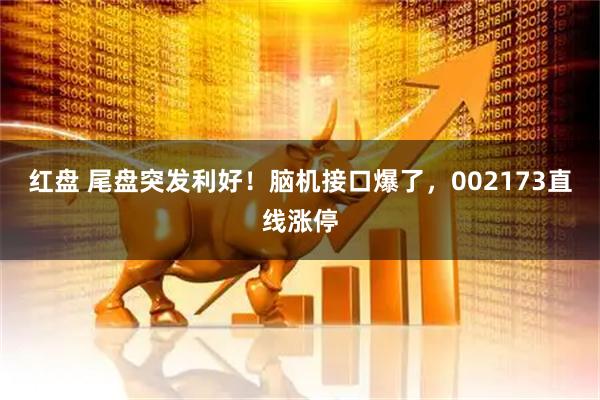 红盘 尾盘突发利好！脑机接口爆了，002173直线涨停