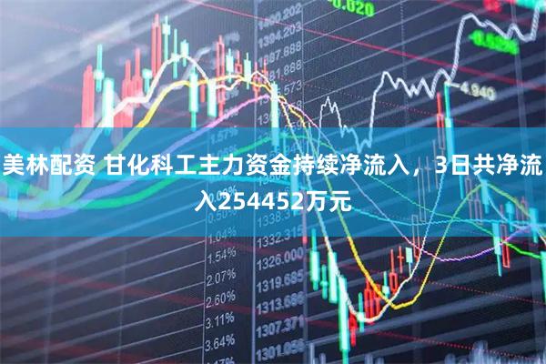 美林配资 甘化科工主力资金持续净流入，3日共净流入254452万元