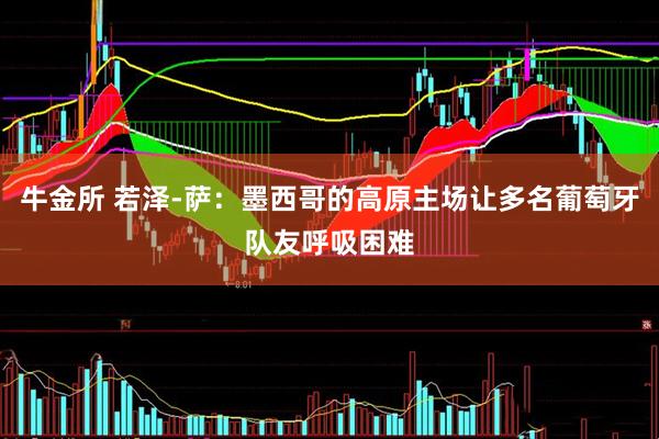 牛金所 若泽-萨：墨西哥的高原主场让多名葡萄牙队友呼吸困难